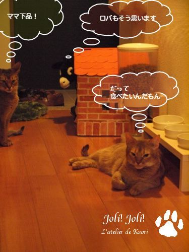joli!joli!のおうちごはんとおかしとねこ♪