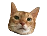 tab