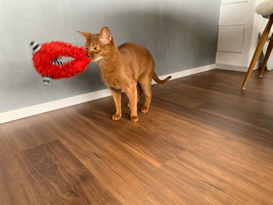 69B1DF73-FDC7-4712-922B-68093A52AE38