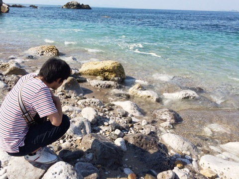 和歌山の白崎海洋公園で映画のロケ隊に遭遇 おうちごはんとおかしとねこ Powered By ライブドアブログ