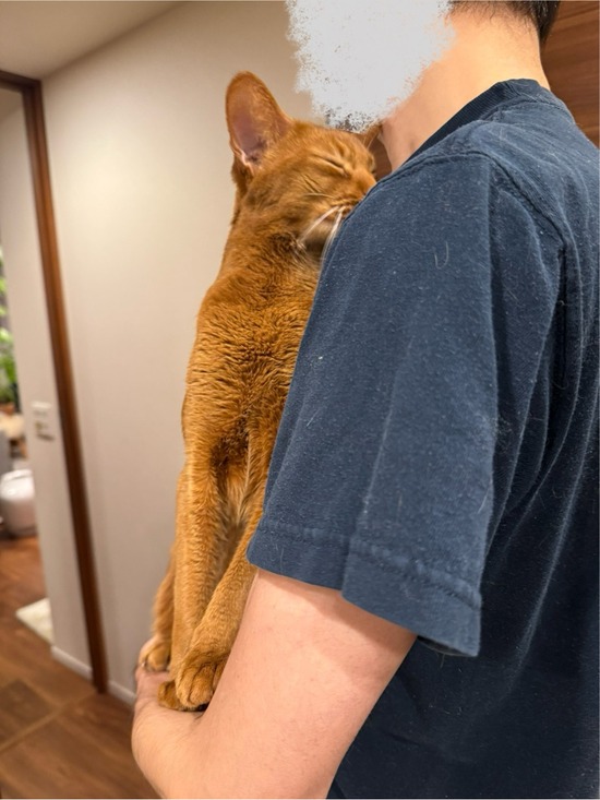 FullSizeRender