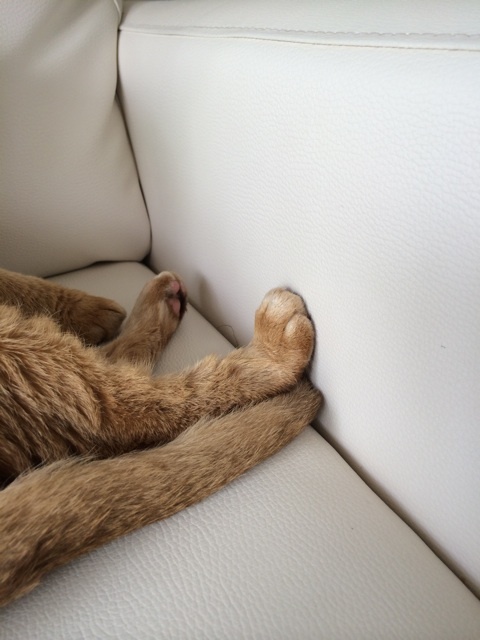 {4AB1114D-EC45-42AE-B893-82436B9B1221:01}