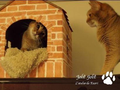 joli!joli!のおうちごはんとおかしとねこ♪