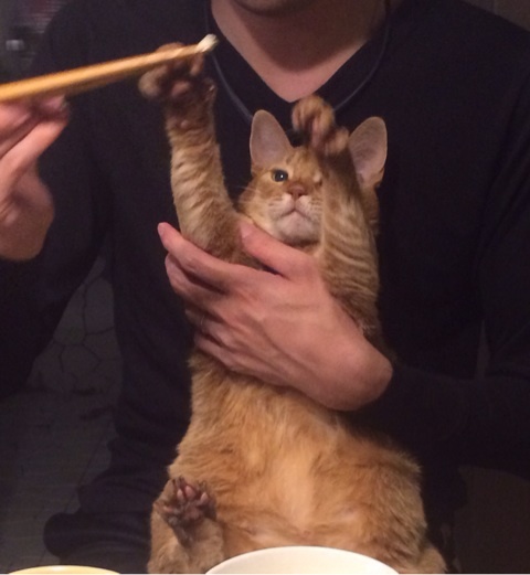 {B0BFCA38-611B-461B-83D3-14385F9F0690:01}