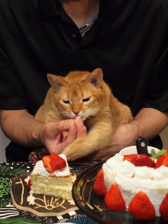 088A053D-73B8-4BAB-B09B-347CD091D8EE