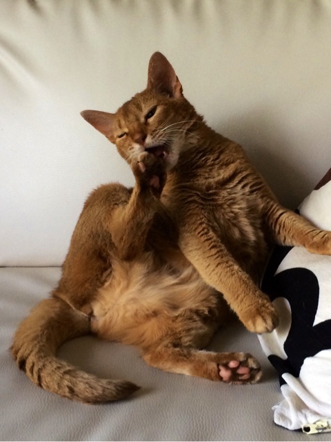 {84F0D484-E871-41B4-9CB8-1A92894E5173:01}