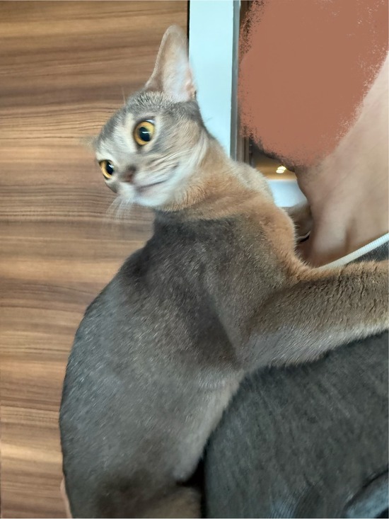 FullSizeRender