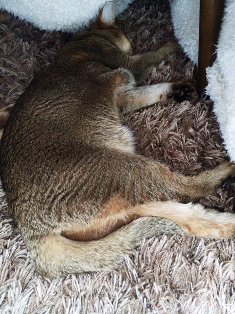 {3201DFE5-3E2A-4212-9F7B-0DC0200F7FE2:01}