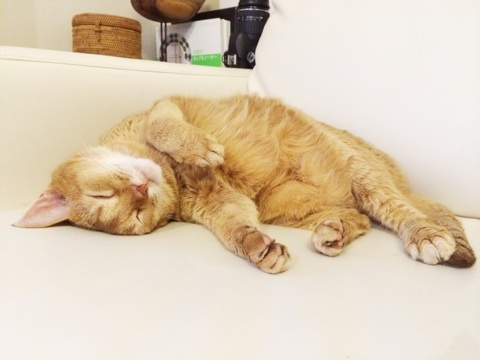 {1AFB8F9B-A751-432C-A8ED-120B934D776C:01}