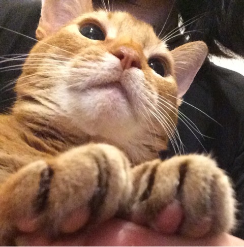 {7522124B-73DE-455E-B493-089B23A1E332:01}