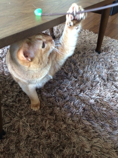 {F14D7984-CB52-453A-A9B0-86072C8DFEC7:01}