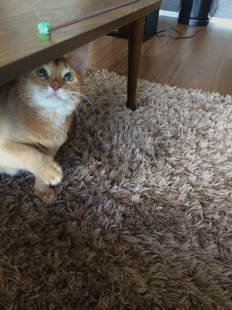 {ACFC2503-BF37-47C7-9BF0-4C738CDA8750:01}