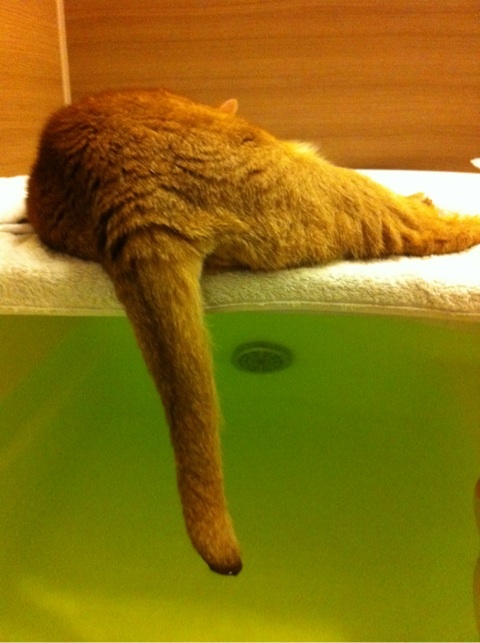 photo:02
