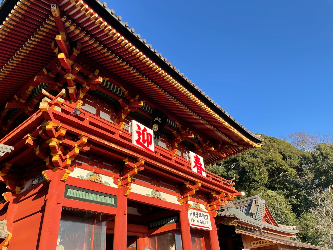 鶴岡八幡宮へ初詣に行ってきました おうちごはんとおかしとねこ Powered By ライブドアブログ 鶴岡八幡宮へ初詣に行ってきました おうちごはんとおかしとねこ Powered By ライブドアブログ