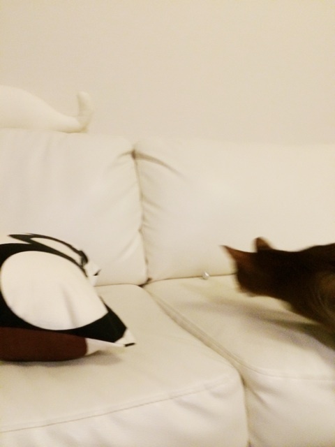 {0E509809-4BC4-4357-9E91-917DD248F788:01}