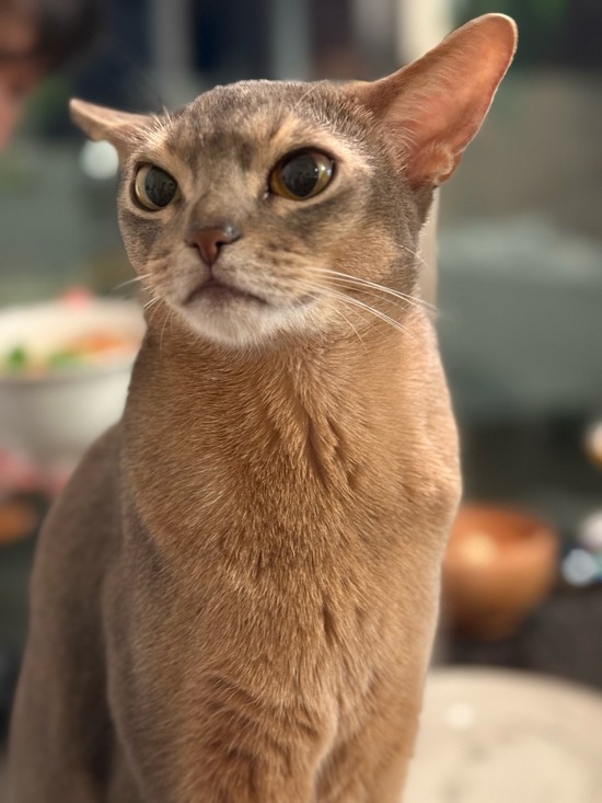 FullSizeRender