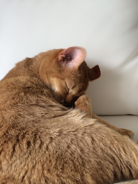 {D9E40702-D293-4345-95D6-156E7077B114:01}