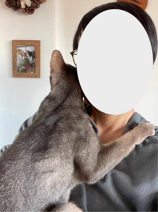 FullSizeRender