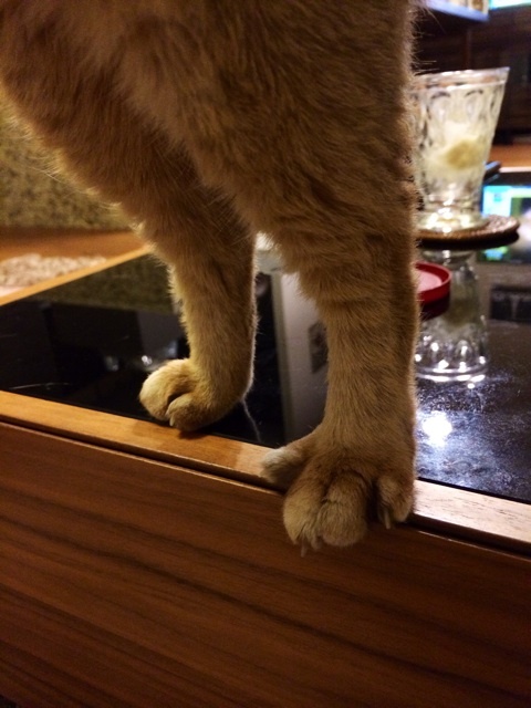 {453E6DF4-8981-4466-92A6-C42C08A76D1F:01}