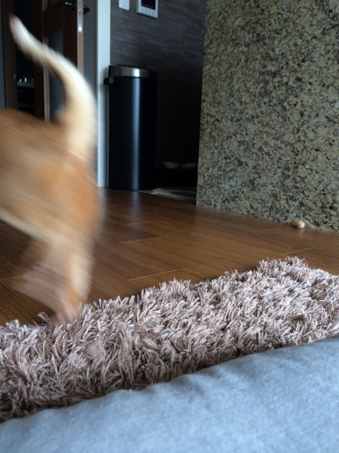 {940B450E-6281-4794-B323-708FDF83B472:01}