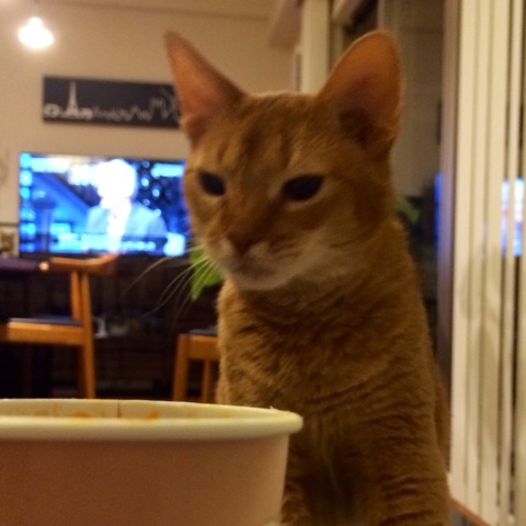 {7AD7DEB9-7A0C-433D-BA76-0C1FFDBF4C46:01}