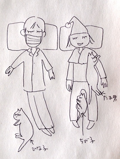 55a6414a