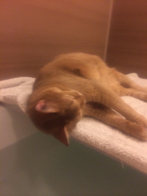 {D1058471-4B22-4EA1-94F2-B29B5A0A7BE6:01}