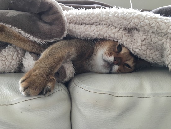 674FB115-6305-4089-AE63-69230EC4CBBD