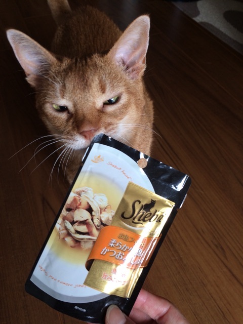 {2CE250EA-B0F1-42B2-BEC5-660D64CD34C1:01}