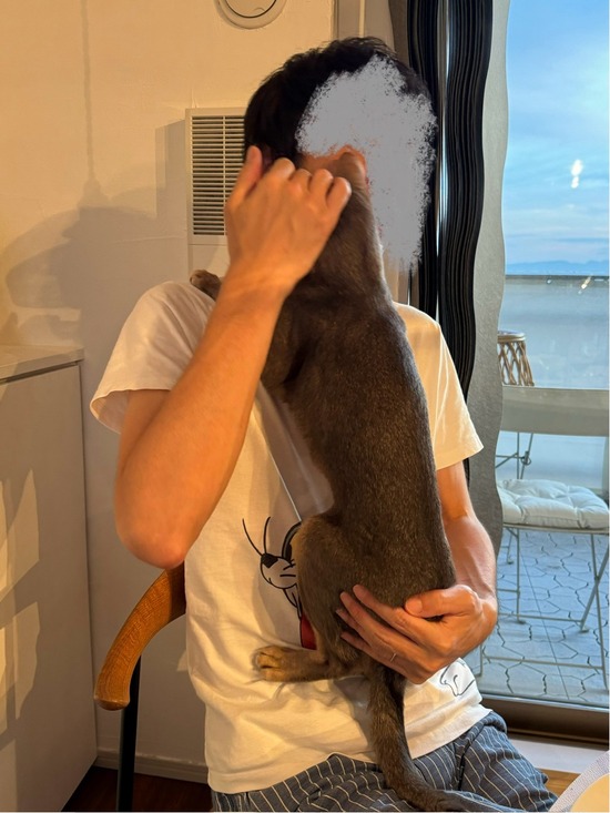 FullSizeRender