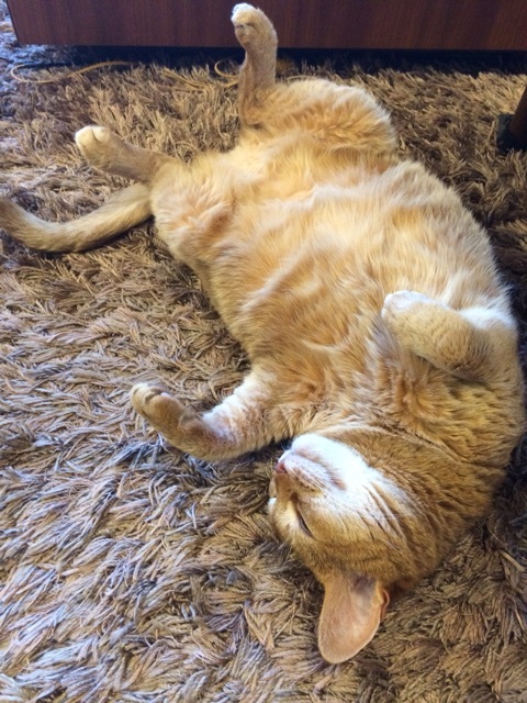 {F5FA57D6-5978-4169-AB9F-C3644FD308DF:01}