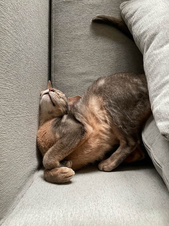 CBC17335-E764-44EA-AD42-7D2A88BCAE53