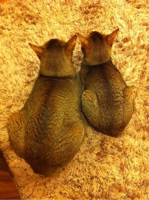 photo:01