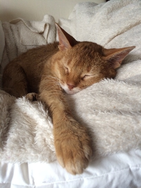 {60FADD97-7759-4931-9F4D-C642E4CAF3F2:01}