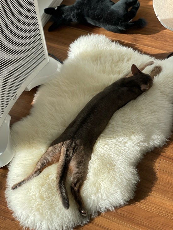 FullSizeRender