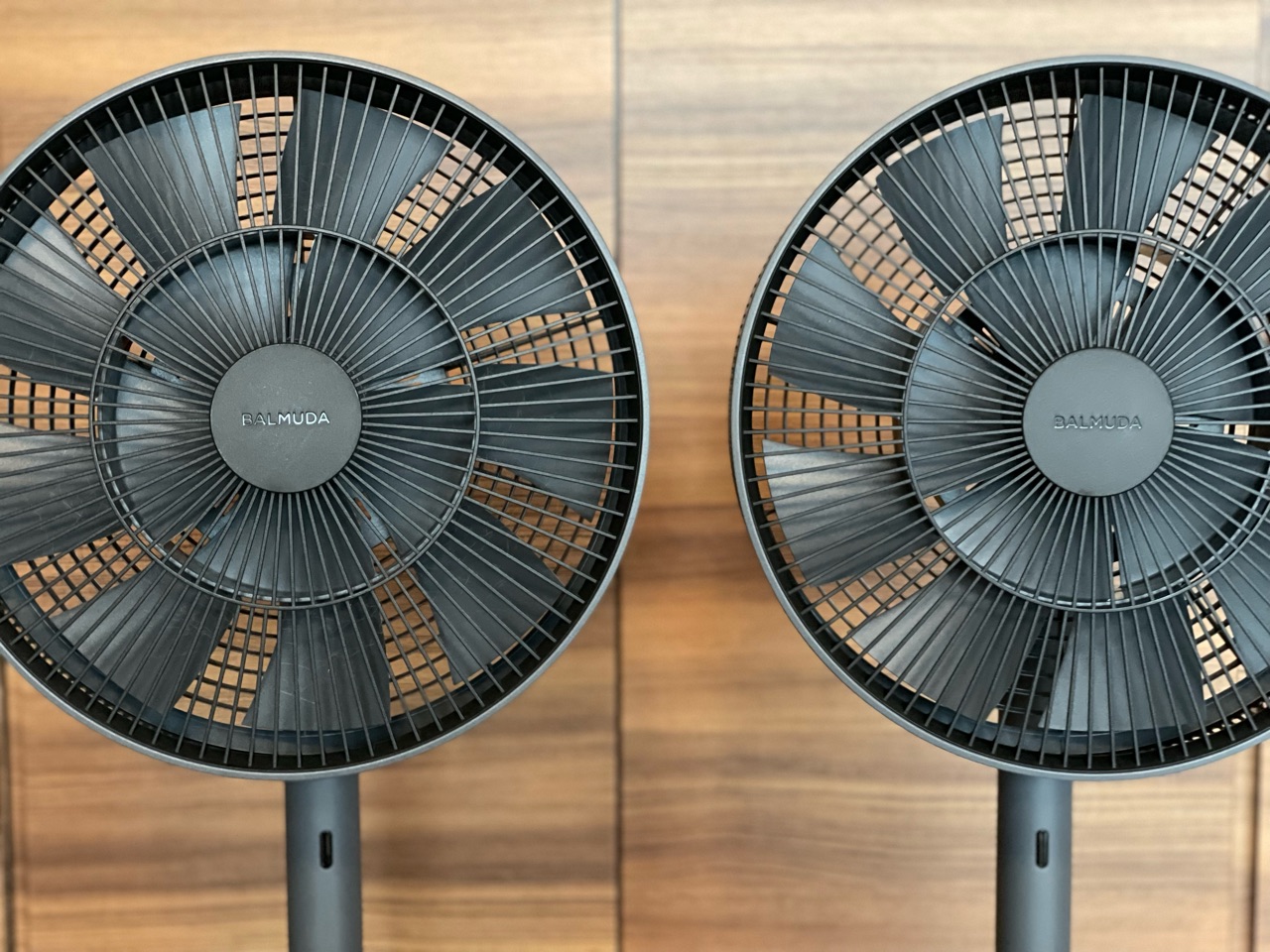 扇風機を買い足し バルミューダ「The GreenFan」アゲイン 扇風機を買い足し バルミューダ「The GreenFan」アゲイン