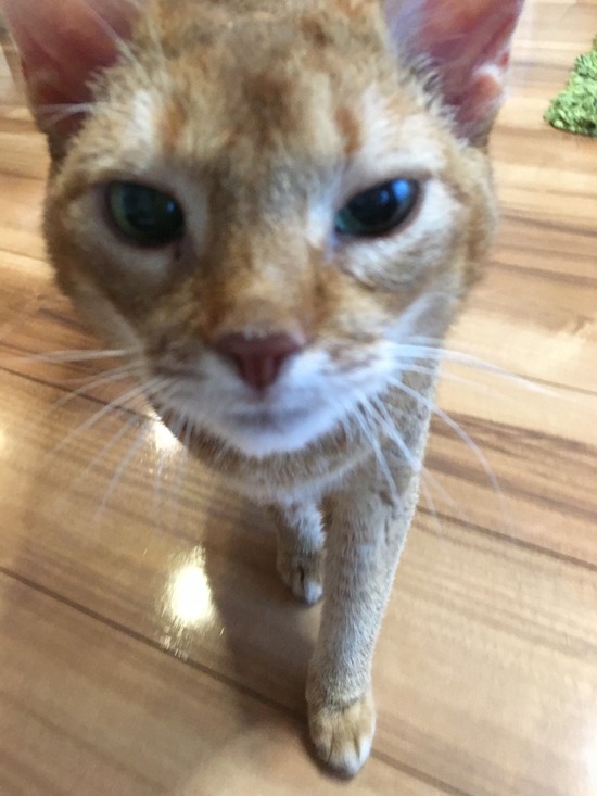 D74BE1AA-532E-4DE0-A496-29357ABDEAFC