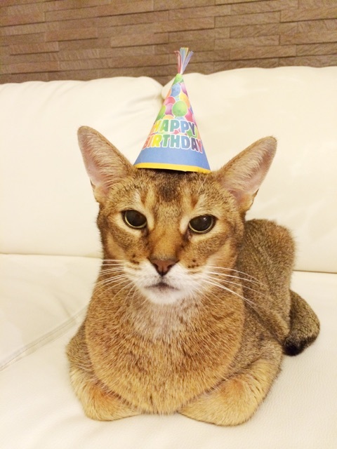 {FD244812-B685-4497-BFFD-CEDEFE0EADDE:01}