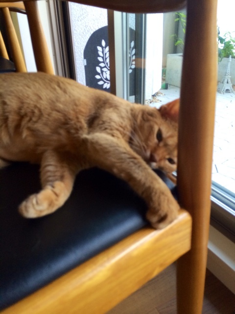 {A2B8C477-8231-4155-A14D-ED8E96218B2D:01}