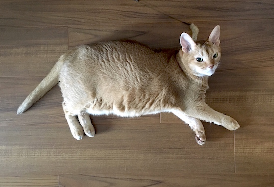 47D38C9A-D244-4E9E-8DD6-064E6A518651