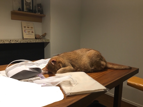 875A6052-FF49-44F3-9350-02134C1AA7E4