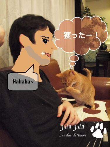 joli!joli!のおうちごはんとおかしとねこ♪