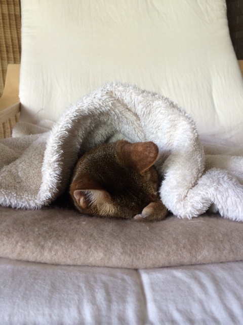 {F88C04F6-2517-4AE6-8B24-C5EC59C31682:01}