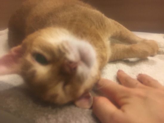 1127C14D-538A-4A93-BDAD-FF9A8FF31986