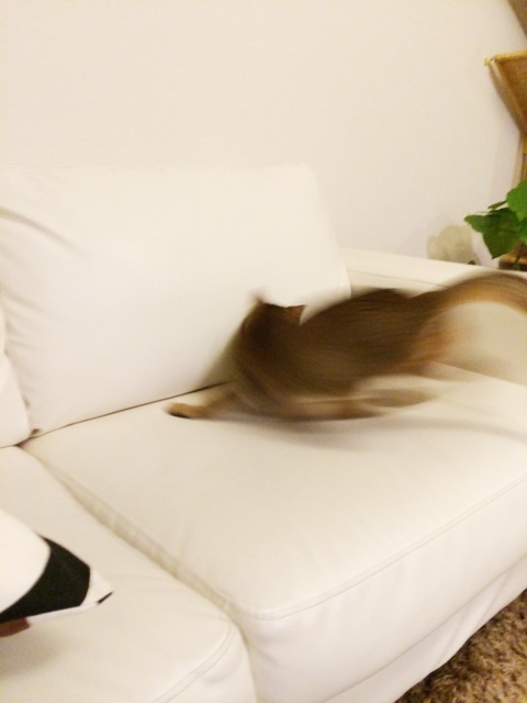 {653637FA-A9DC-4075-AC33-04E0160C07C5:01}