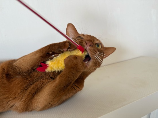 IMG_7505