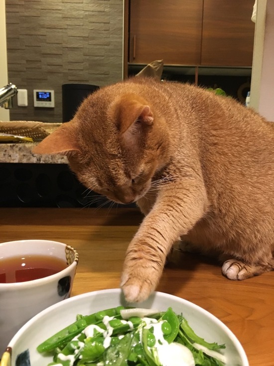 76C16439-3AD7-4964-8A3B-77117DF33E4D