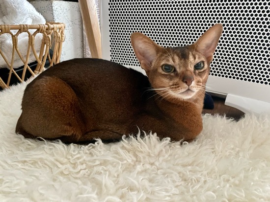 FullSizeRender