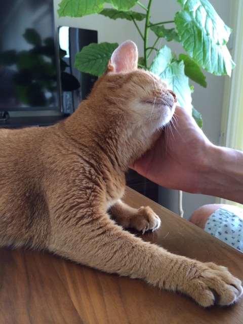 {79CBD9ED-E290-4E72-97F9-C0EA7265C167:01}