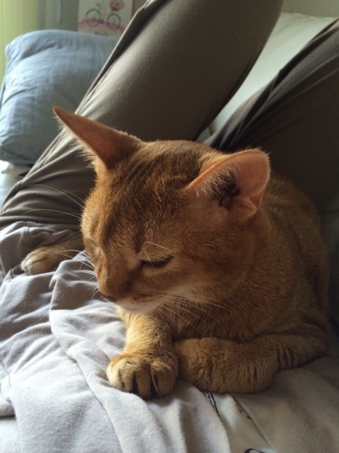 {6B1EE93C-0A3F-4B07-A733-70F133646588:01}